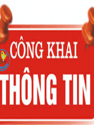 Công khai tài chính ngày 09/4/2021